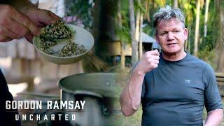 Ants Zesty Kick Gordon Ramsays Soup Revelation  Gordon Ramsay Uncharted