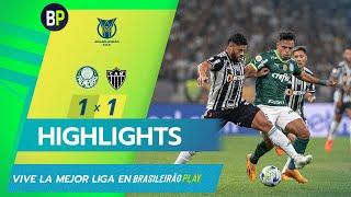 EL VERDAO Y EL GALO IGUALARON EN UN PARTIDO CON UNA POLÉMICA CLARA  PAL 1x1 CAM #Brasileirao