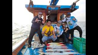 Tenggiri Babon Pulau Seribu  Thousand Island King Mackerel 