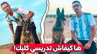 ها كيفاش تدريسي كلبك راسك بأسهل طرق  comment dresser un chien