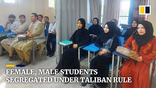 Curtains divide female male students as Afghan universities reopen under Taliban rule