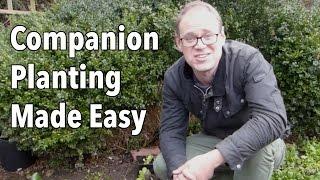 Companion Planting Made Easy