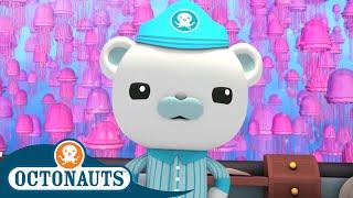 Octonauts - Jellyfish Adventure  Cartoons for Kids  Underwater Sea Education