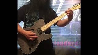 Zuwei TL ASH Top Guitar Demo