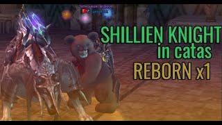 Shillien Knight in catas. Reborn x1 origins.