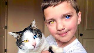 7 Jähriger wird gemobbt weil er anders ist - doch dann findet er diese Katze