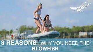 3 REASONS  WHY YOU NEED THE BLOWFISH