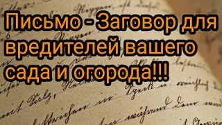 Письмо Заговор для вредителей вашего сада и огорода. Ритуал. Обряд.