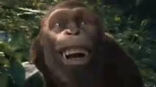 maymun dansi hoptek kolbasti komik izle 720p