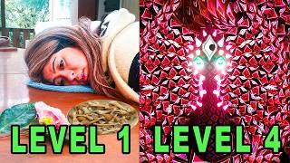 The 5 Levels of the Magic Mushroom Experience