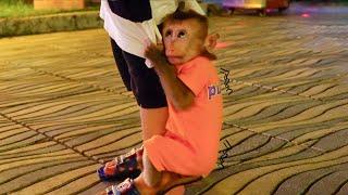PUPU monkey is afraid of bubbles. The whole family has fun walking around the street