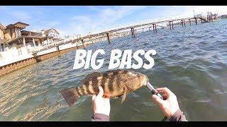 Bass Fishing Newport Bay Beach 4k