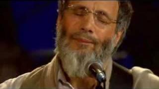 Yusuf Islam - Where do the children play