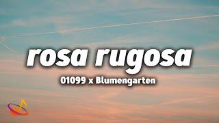 01099 x Blumengarten - ROSA RUGOSA Lyrics