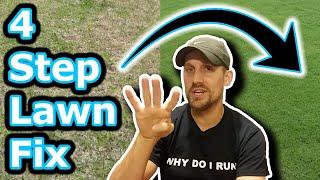 Beginner Lawn Care Tips  How To Improve Your Lawn in 4 Easy Steps  Lawn Motivation