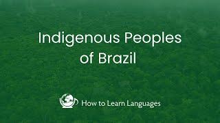  The Indigenous Peoples of Brazil