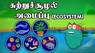 சுற்றுச்சூழல் அமைப்பு  Ecosystem  Dr. Binocs Tamil  Best Learning Videos For Kids