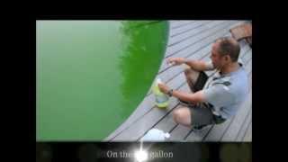 How To Clean a Green Pool