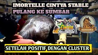 AKHIRNYA KUDA THOUROUGHBRED BINTANG CINTYA STABLE PARIAMAN. POSITIF Dengan CLUSTER