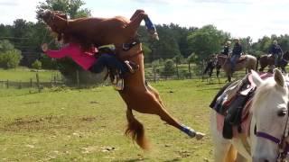 Horse flips on rider