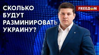 Разминирование территории Украины. Сколько будут очищать поля? Мнение Марчука