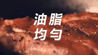 安格斯牛