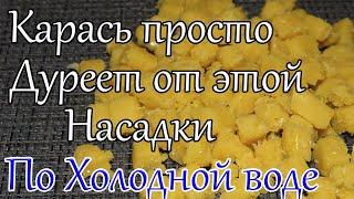 Лови по Холодной воде Насадка на Карася. Карась Карп Сазан. Рыболовная Насадка для Карася.