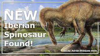 New Iberian Spinosaur Found