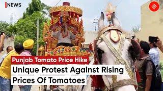 Tomato Price Hike Punjab Man Finds Unique Way To Protest Against Rising Prices Of Tomatoes