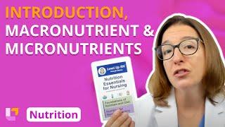 Introduction Overview of Nutrients - Nutrition Essentials  @LevelUpRN