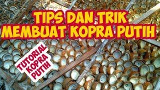 Tutorial pembuatan kopra putih  kopra putih