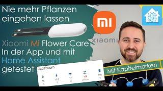 Xiaomi Flower Care in Home Assistant - Anleitung