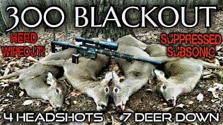 7 Deer Down  300 Blackout Subsonic Suppressed