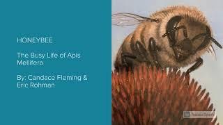 Read Aloud Honeybee The Busy Life of Apis Mellifera