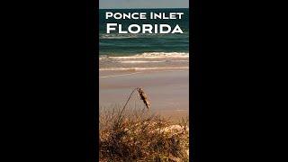 Ponce Inlet short