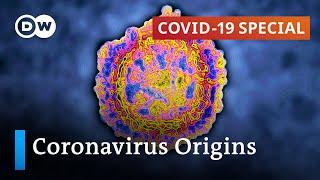 How forensic researchers track down the origins of SARS-CoV2  COVID-19 Special