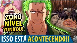 SAIBA PORQUE ZORO VAI SER TÃO FORTE QUANTO UM YONKOU RAYLEIGH AINDA É NÍVEL YONKOU?