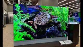 First look Samsungs 110 microLED TV