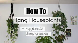 How To Hang Houseplants  BEST Hanging Indoor Plants