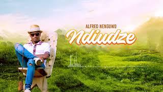 Alfred Nenguwo - Ndiudze Official Audio