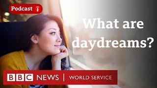 Why we daydream and what goes on in our brain when we do - CrowdScience podcast BBC World Service