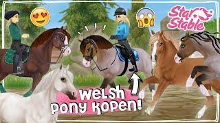 IK KOOP DE NIEUWE WELSH PONY’S + SPECIALE GANG  - Update  Star Stable Online  Daphne draaft door