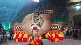 Jos Lur Solah Ngeri Pembarong Muda Reog Ponorogo Bikin Merinding