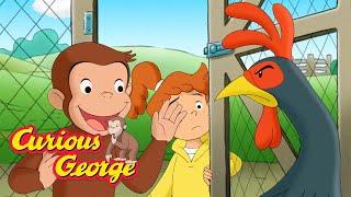 Georges Farmyard Friends  Curious George  Kids Cartoon  Kids Movies  Videos for Kids