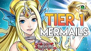 This Deck Is Now BUSTED TIER 1 Mermail Combos ft. NEW Support Yu-Gi-Oh