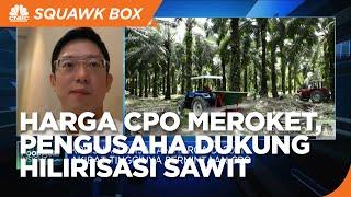 Harga CPO Meroket Pengusaha Dukung Hilirisasi Sawit Mentah