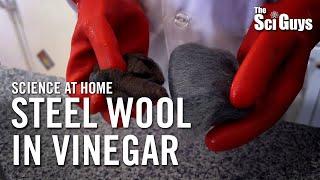 Steel Wool in Vinegar - The Sci Guys Science at Home