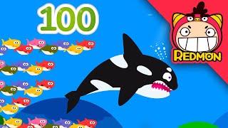 100 Sharks song  Animal songs  Nursery Rhymes  REDMON