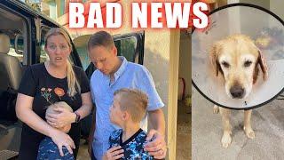 HORRIBLE News About our Dog Kona Chris Lost & Owen Kicked Out of Gym  Mommy Monday