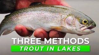 TOP 3 Trout Fishing Tactics For Lakes & Ponds IN DEPTH HOW TO